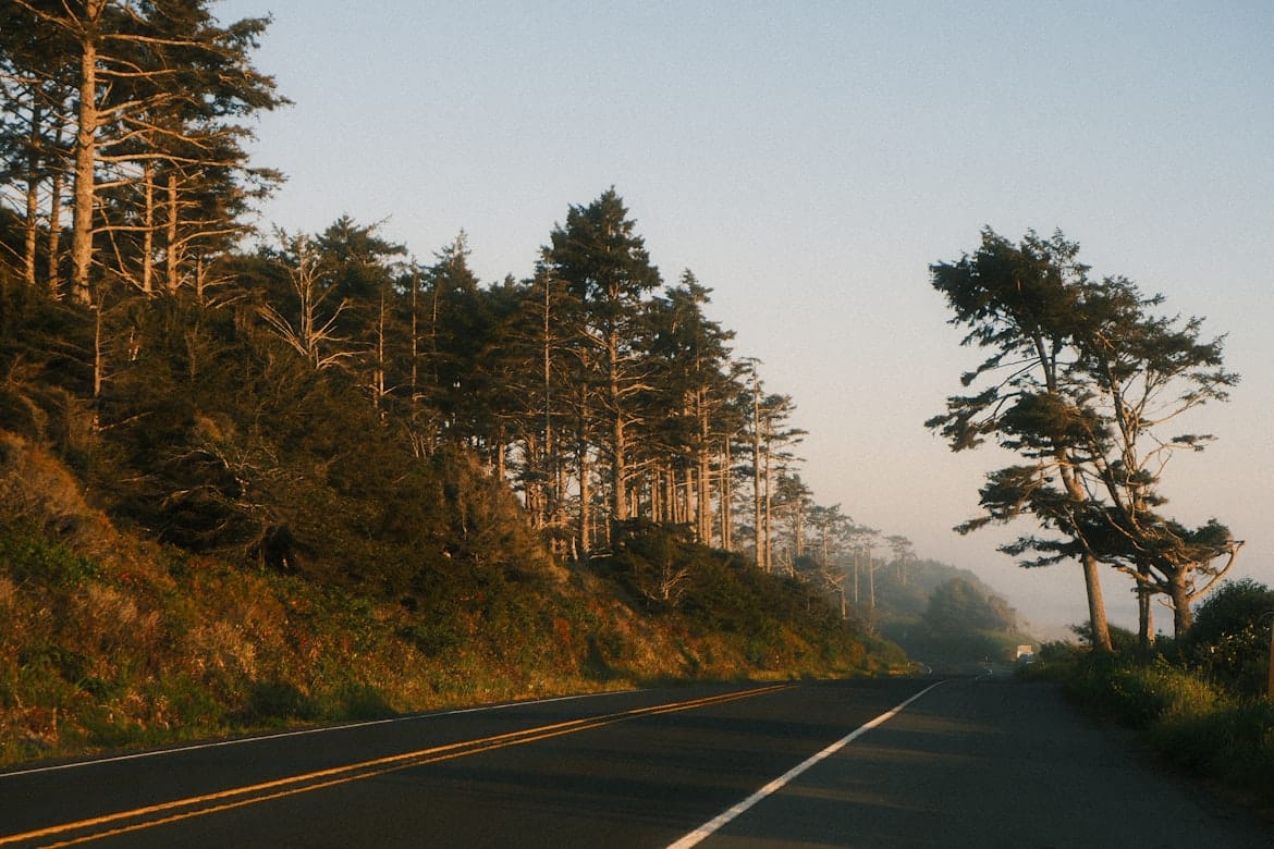 The World's Most Scenic Road Trips Every Traveler Should Experience